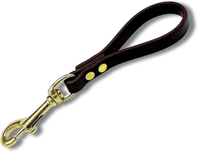 Biothane Training Tab Leash for Dogs, Brass Hardware, No Pull with Easy Grip Handle, Made in The USA, Professional Grade-Brown