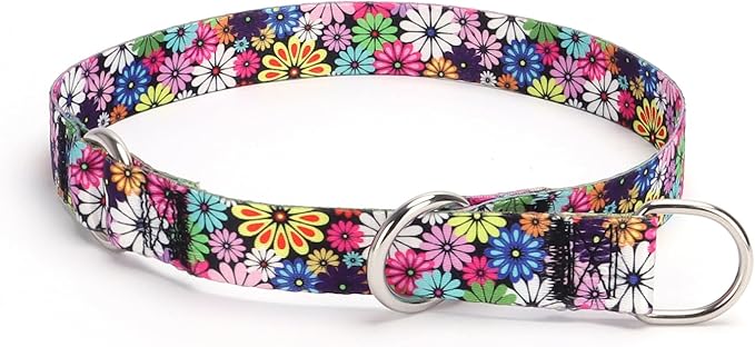 Training Dog Collar, No Pull Martingale Collar, Slip Collar with Slidable Stop Ring for Small, Medium, Large Dogs (L, Fireworks)