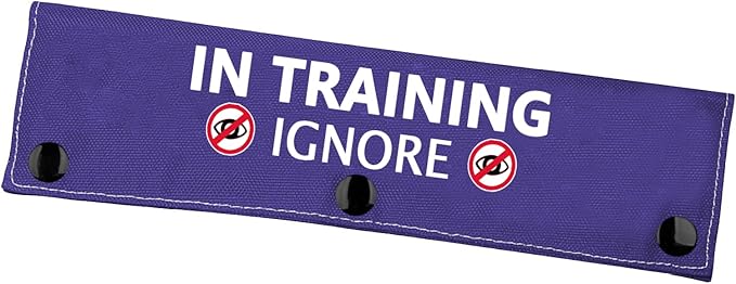 Training Ignore Dog Leash Wrap & Sleeve - Social Distancing Patch