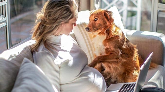 Flea and Tick Spray for Pets and Home - Plant-Based Essential Oil Formula - Natural and Effective Treatment for Ticks, Fleas and Insects - Indoor and Outdoor Use - Charity Donation Included