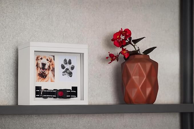 Dog Urn for Ashes, 4 Customizable Displays with Paw Print Ink Kit and Flannel Bag, Pet Urns for Dogs Ashes, Pet Cremation Box, Cat Urn for Ashes, Dog Ashes Keepsake (White)