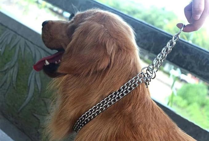 Silver Dog Chain Collar for Medium Dogs, Training Double Row Chains Choker Collar Heavy Duty Metal Slip Choke Collar Martingale Collars for Small Medium Large Dog, D2.5mm