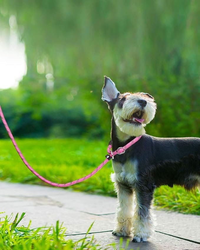 TagME Slip Leads for Dogs that Pull, 6 FT No-Pull Training Leash with Lock, Escape-Proof Design, Reflective & Padded Handle for Medium Dogs, Pink