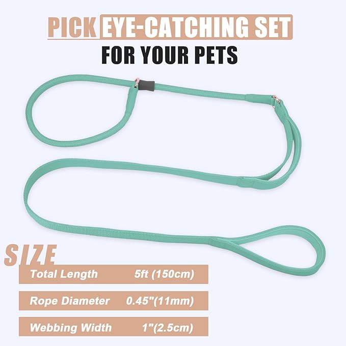 Slip Lead Dog Leash, Double Handle, Soft Leather, Heavy Duty Nylon, No Pull Walking, 5ft Mint Green