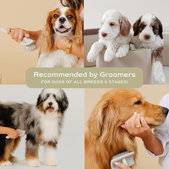 pupwell Slicker Brush for Professional and Luxury Dog Grooming to Prevent Matting with Dense and Extra Long Stainless Steel Pins (Goldendoodles, Labradoodles, Poodles)