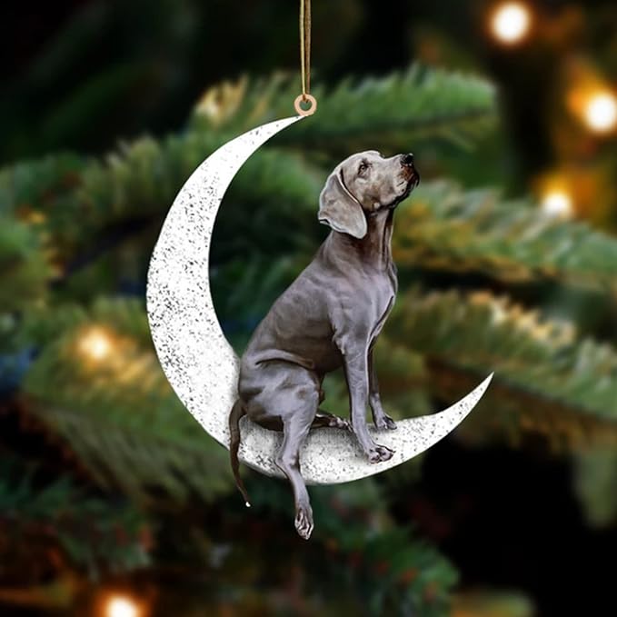 Jxueych Dog Sit On The Moon Dog Memorial Keepsake Christmas Remembrance Ornament to Remember Loved - Loss of Pet Gifts (Labrador)
