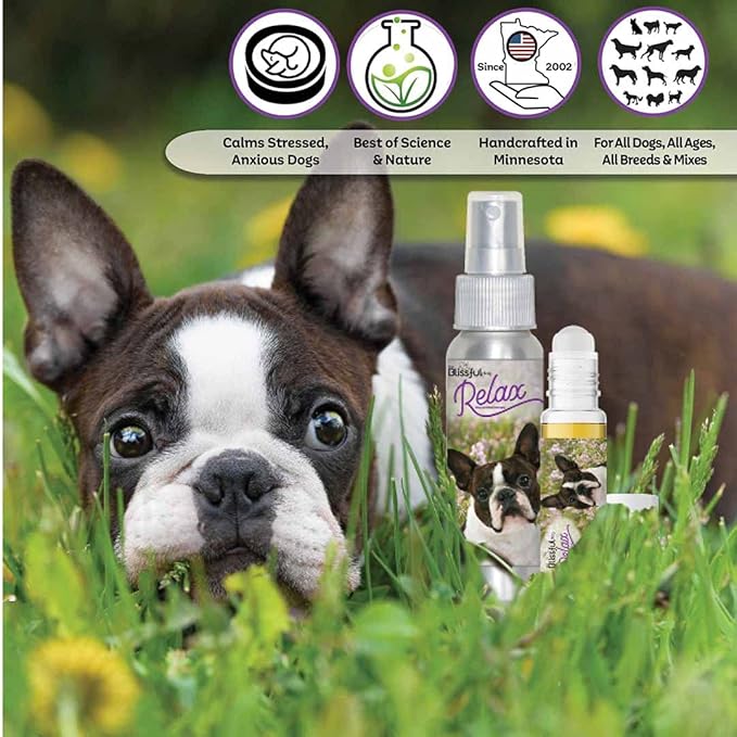 The Blissful Dog Boston Terrier Relax Dog Aromatherapy Spray for Your Dog's Anxiety