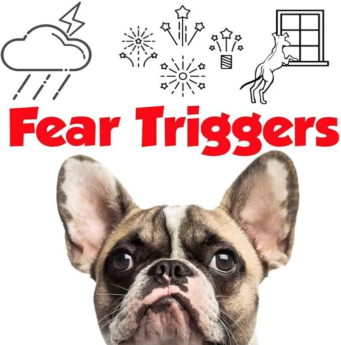 The Blissful Dog French Bulldog Relax Aromatherapy Spray for Your Dog's Anxiety