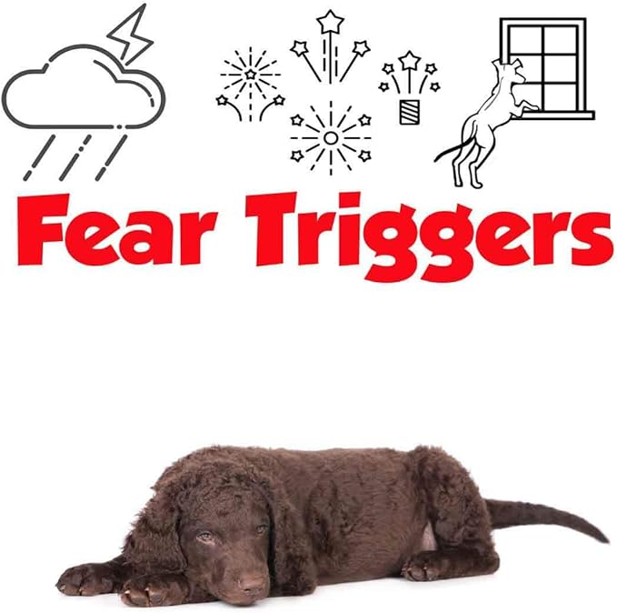 The Blissful Dog Curly-Coat Retriever Relax Roll-ON Aromatherapy for Dogs - Anxiety Relief for Dogs