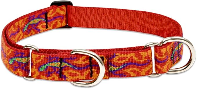 LupinePet Originals 1" Go Go Gecko 19-27" Martingale Collar for Large Dogs