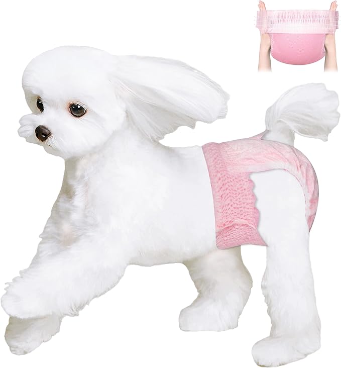 Ambreview Disposable Dog Diapers Female, Just Pull It Up, Doggie Diapers for Female Dogs, Strong Absorbency | Leak Proof, for Dogs in Heat | Elderly | Disabled, S 10 PCS