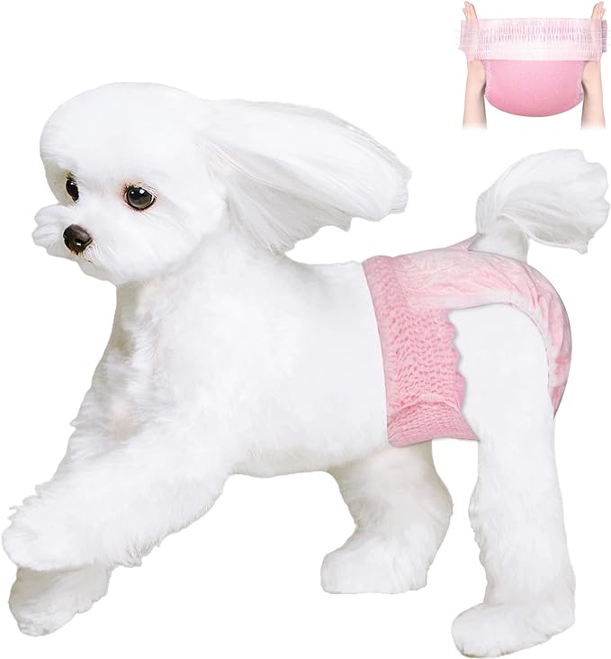 Ambreview Disposable Dog Diapers Female, Just Pull It Up, Doggie Diapers for Female Dogs, Strong Absorbency | Leak Proof, for Dogs in Heat | Elderly | Disabled, L 100 PCS