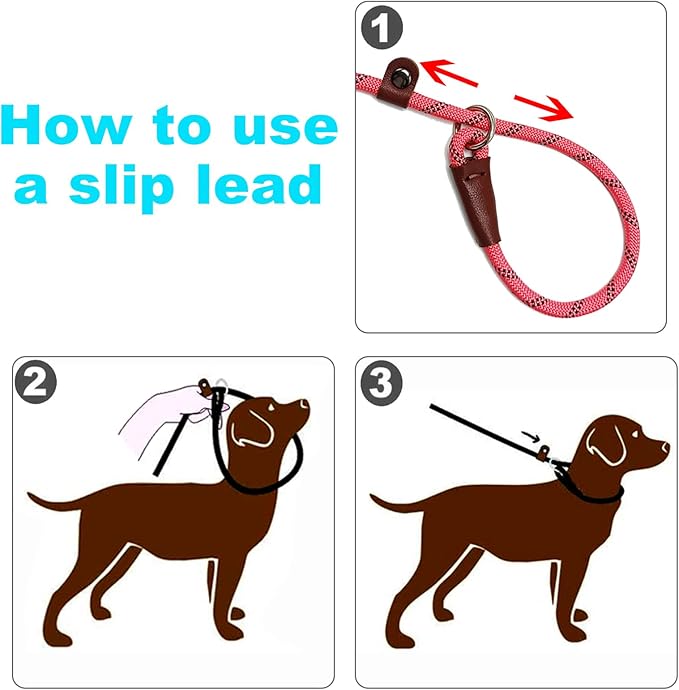Slip Lead Dog Leash, 1/4" x 5ft No Pull Slip-on Training Leash for Small and Medium Dogs (Pink, 1/4" x 5Ft)