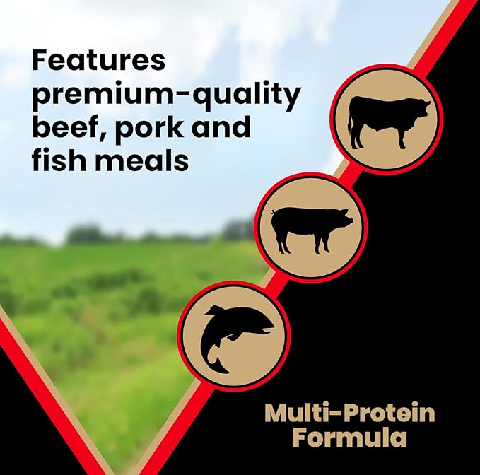 VICTOR Super Premium Dog Food – High Protein Grain Free Active Dog & Puppy Kibble – Dry Food with 33% Protein, Gluten-Free - Premium Beef, Pork, Fish Meals for High Energy Dogs, 30lbs