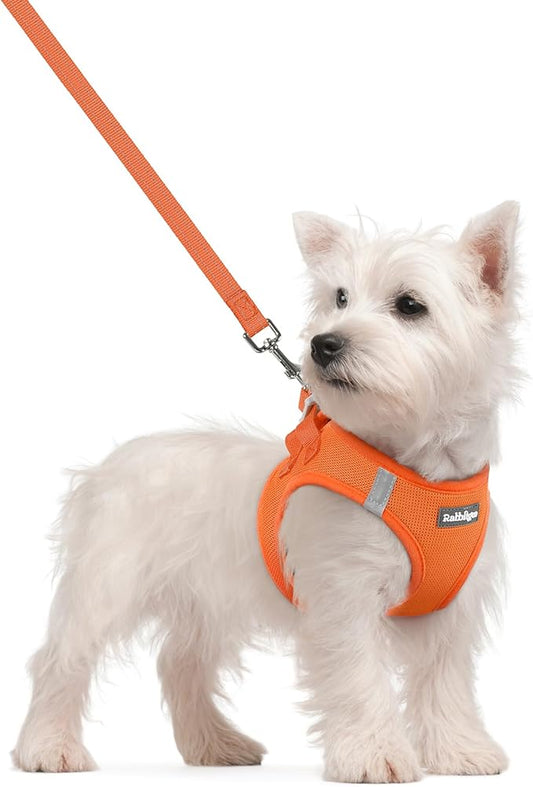 rabbitgoo Dog Harness Small Sized and Leash Set, Step in Soft Light Puppy Vest, Breathable Mesh Pet Harness, Reflective for Safe Easy Walking, Orange S