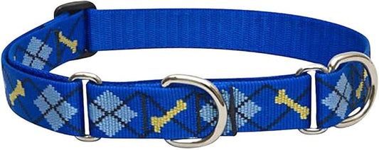 LupinePet Originals 1" Dapper Dog 19-27" Martingale Collar for Large Dogs