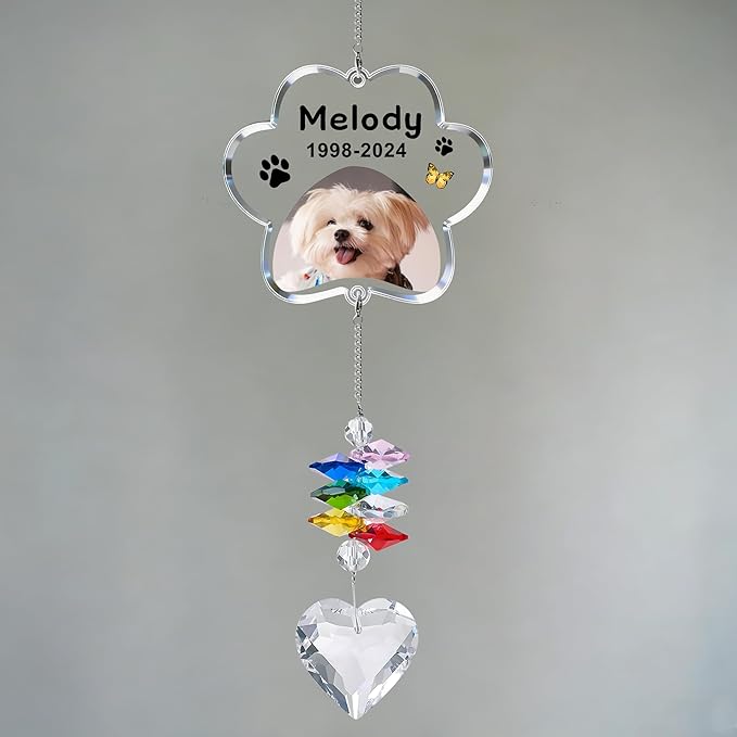 EDSG Personalized Dog Memorial Gifts for Loss of Dog - Pet Sympathy Gifts with Photo, Custom Pet Bereavement Gift, Rainbow Bridge Memorial Suncatcher for Cat (Design 4)