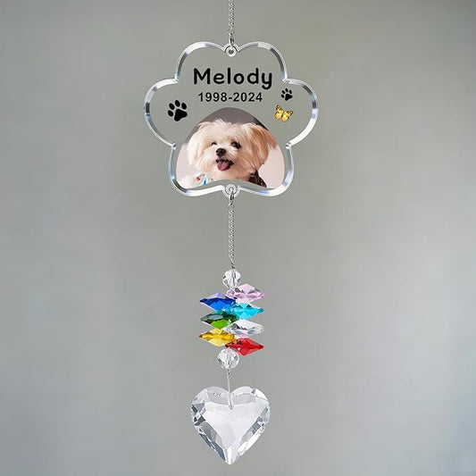 EDSG Personalized Dog Memorial Gifts for Loss of Dog - Pet Sympathy Gifts with Photo, Custom Pet Bereavement Gift, Rainbow Bridge Memorial Suncatcher for Cat (Design 4)