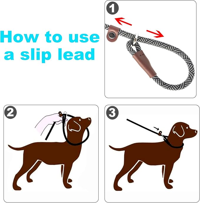Slip Lead Dog Leash, 1/4" x 5ft Small Dog Training Leash No Pull Slip-on for Small Medium Dogs (Black)