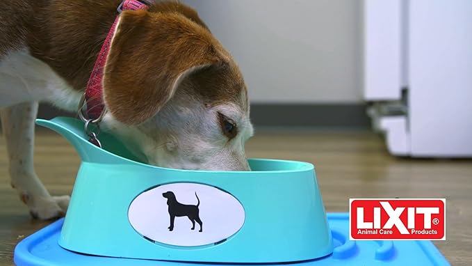 Lixit Ergonomic Bowls for Dogs with Long Ears (Coral, Large)