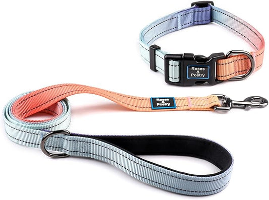Roses&Poetry Blue Dog Collar and Leash for Medium Dogs, Reflective Dog Collars and Leashes, Buckle Adjustable Durable Pet Matching Leash with Collar for Girl and Boy Running, Walk（Azure-M