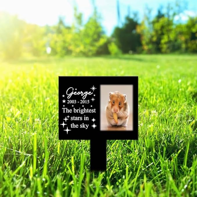 Personalized Hamster Memorial Stake Custom Hamster Photo The Brightest Stars in The Sky Metal 8x8 inch Pet Grave Marker Hamster Loss Gift Sympathy Gift for Hamster Lover (Style 11)