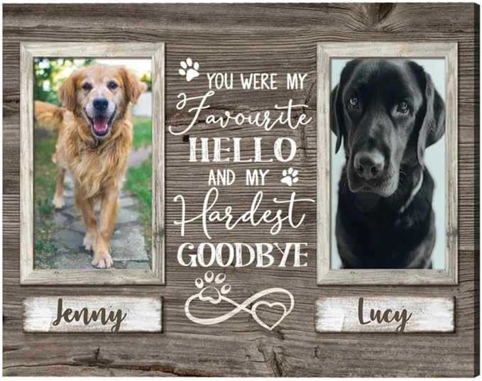 Benicee Shop Pet Memorial Gifts, Sympathy Gifts For Pet Loss, Double Picture Canvas Frame, Gift For 2 Pets