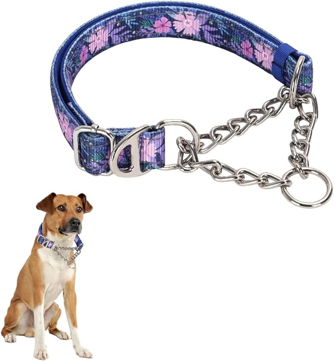Martingale Collar with Chain，Stainless Steel Chain for Dogs, No Pull Slip Cinch Choker Choke Collar Training Heavy Duty Dog Collar for Small Medium Large Pet Boy Male Dog