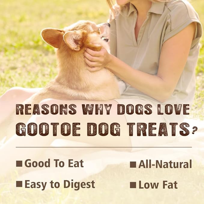 Gootoe Soft Dog Treats, Chicken Jerky - Dog Training Treats; High-Protein, Gluten-Free, Soft Jerky for Dogs, Hypoallergenic, Grain-Free, Chicken Breast Strips, 1 lb (Pack of 3)