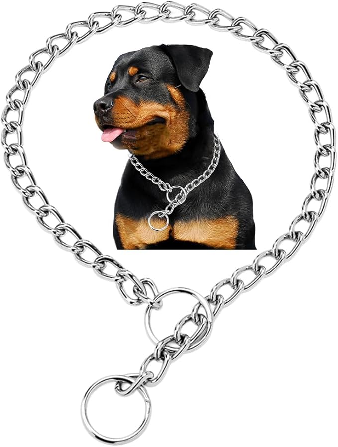 Silver Choke Collar for Dog,Metal Slip Link Dog Choke Collar Training Heavy Duty Male Boys Dog Choker Chain Female Girls Martingale Puppy Collars for XXS XS Small Medium Large Big Breed,XL