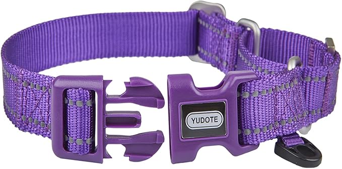 Reflective Martingale Collar for Dogs with Quick Snap Buckle Anti-Pull Nylon Safe Slip Collars for Easy Walking,Purple,Small