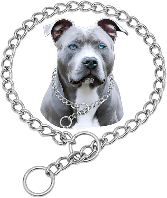 Dog Chain Collars, 304 Stainless Steel Choke Collar for Dogs Metal Slip Collars Martingale Puppy Collar for Small Medium Large Big Dogs, Silver, XXS