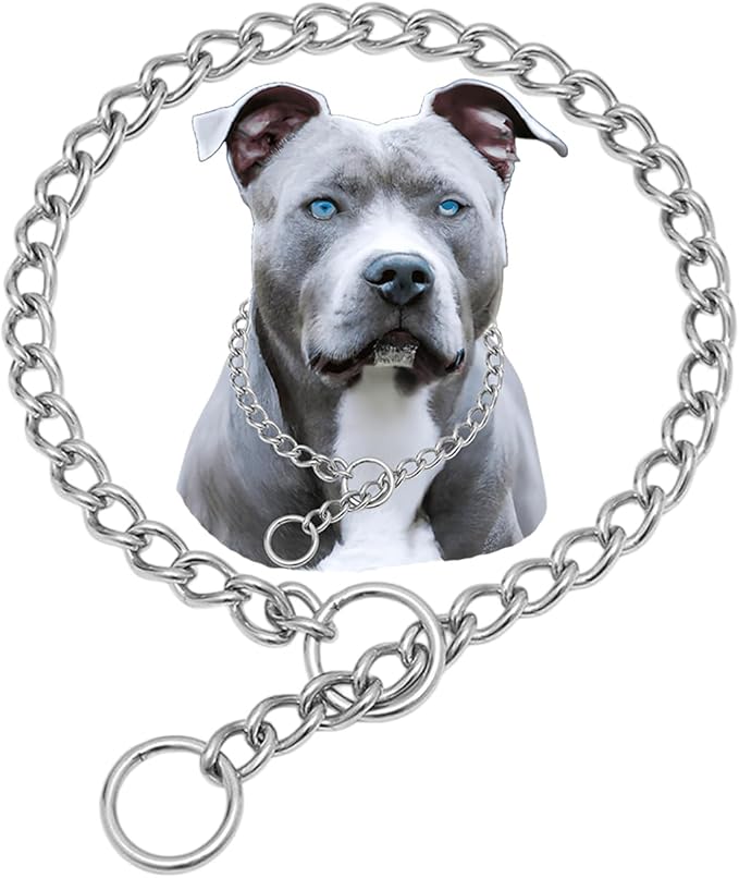 304 Stainless Steel Dog Choke Collar, Metal Slip Collars, Heavy Duty Choker Collar, Chew Proof Durable Martingale Puppy Collars for Small Medium Large Big Breed Dogs, Silver, XL
