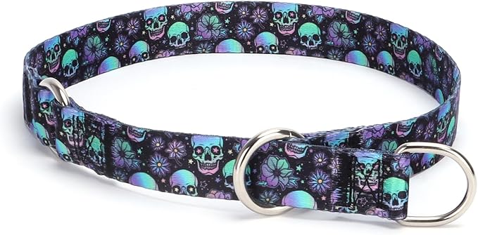 No Pull Martingale Collar with Slidable Stop Ring for Small, Medium, Large Dogs (L, Skull)