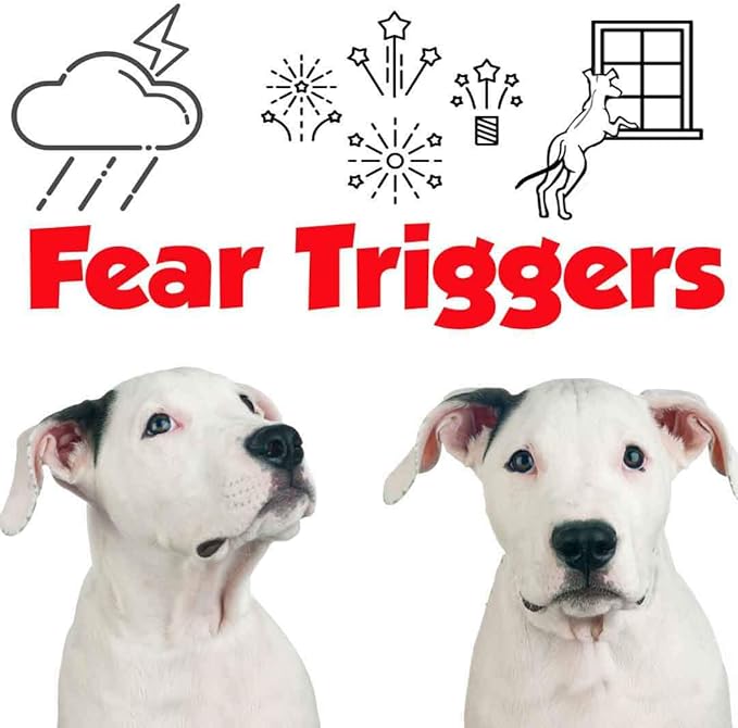 The Blissful Dog Dogo Argentino Relax Roll-ON Aromatherapy for Dogs - Anxiety Relief for Dogs