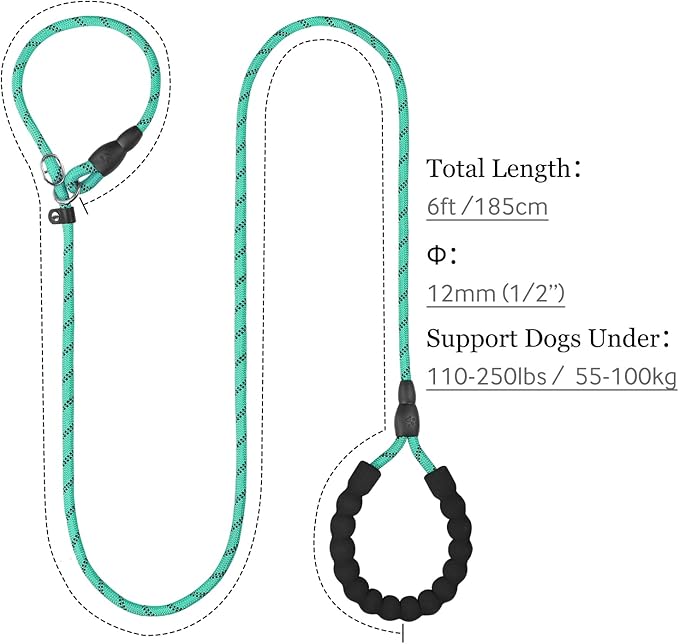 TagME Slip Leads for Dogs that Pull, 6 FT No-Pull Training Leash with Lock, Escape-Proof Design, Reflective & Padded Handle for Small Dogs, Turquoise
