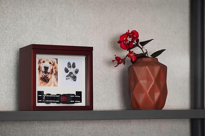 Dog Urn for Ashes, 4 Customizable Displays with Paw Print Ink Kit and Flannel Bag, Pet Urns for Dogs Ashes, Pet Cremation Box, Cat Urn for Ashes, Dog Ashes Keepsake (Brown)