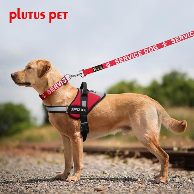 Plutus Pet Service Dog Collar,Printed in Large Letters on Nylon Webbing,Prevents Accidents by Warning Others of Your Dog in Advance,Two Colors,Four Sizes,Neck 8-12 inch,Extra Small,Red