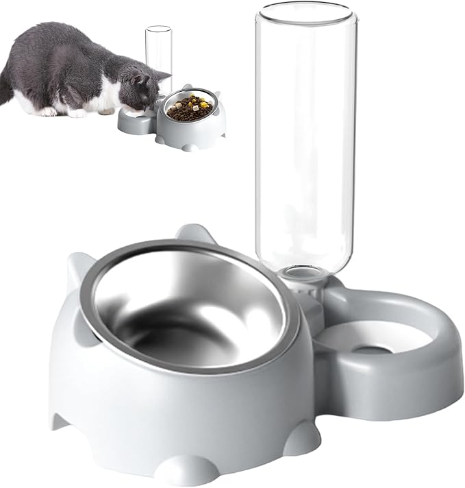 Dog Bowls, Cat Food and Water Bowl Set 16 Degree Tilted Dog Dish with Water Dispenser Automatic Dispenser Bottle Spill Proof Pet Feeder for Cats and Dogs