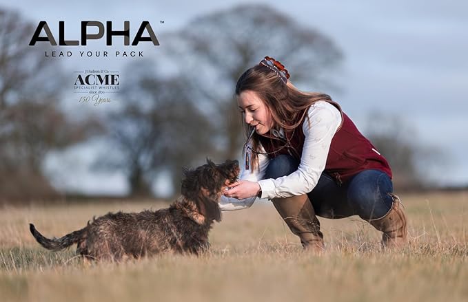 ACME Alpha 210.5 Professional Dog Training Whistle with Enhanced Ergonomic Grip. BPA-Free Plastic. 110 dBA. Standardized Frequency for Smaller Dogs. Weatherproof. Made in the UK (Baby Blue on Yellow)