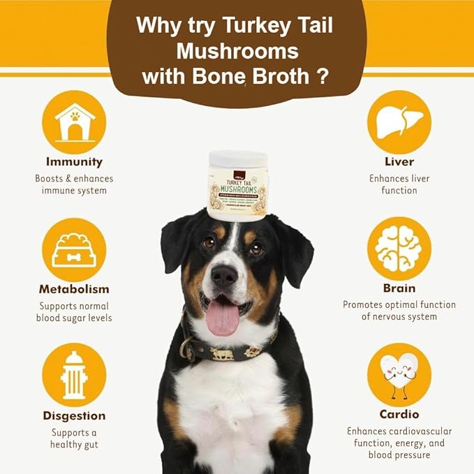 iHeartDogs Turkey Tail Mushroom for Dogs for Lumps, Bumps & Lipomas with Bone Broth and 6 Mushroom Blend Powder