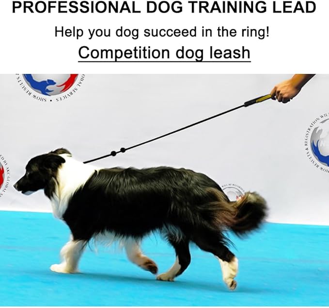 BeauGo|Slip Leads for Dogs|Dog Training Leash|2-In-1Training Lead & Collar,Thin Rope specifically Designed for Dog Training and NGKC Competition,Suitable for All Dogs Training Leash(Green)