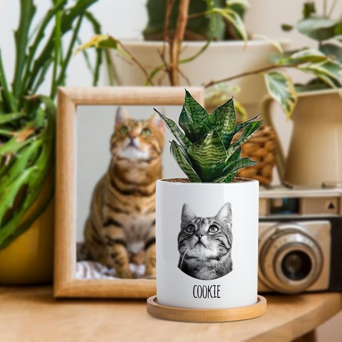 callie Personalized Pet Memorial Gifts Plant Pot with Photo Name Date, Custom Sympathy Gift for Dog Cat Loss, Pet Passing Away Gifts