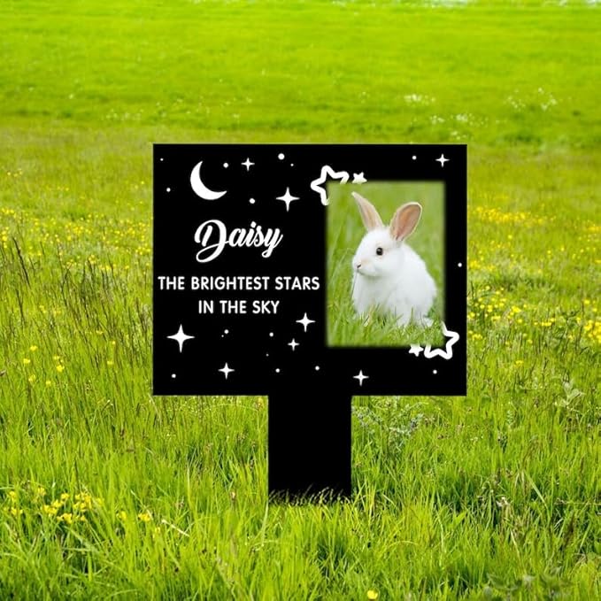 Personalized Bunny Memorial Stake Custom Rabbit Photo The Brightest Stars in The Sky Metal 12x12 inch Pet Grave Marker Rabbit Loss Gift Sympathy Gift for Rabbit Lover (Style 3)