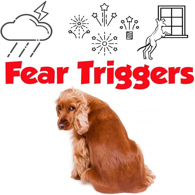 The Blissful Dog English Cocker Spaniel Relax Roll-ON Aromatherapy for Dogs - Anxiety Relief for Dogs