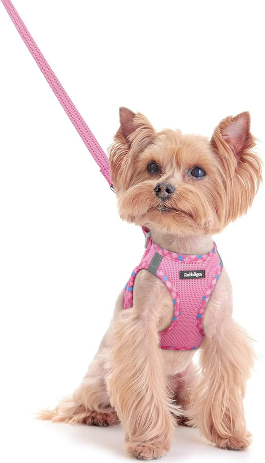 rabbitgoo Dog Harness Small Sized and Leash Set, Step in Soft Light Puppy Vest, Breathable Mesh Pet Harness, Reflective for Safe Easy Walking, Pink & Plaid Trim XXS