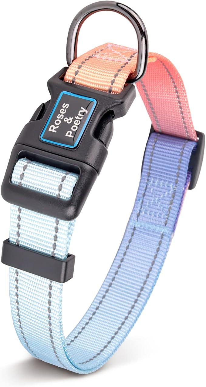 Roses&Poetry Reflective Small Dog Collar and Leash Set, Puppy Leashes with Collars, Adjustable Durable Matching Nylon Pet Collar Leash for Walking,Playing,Training (Azure-XS)
