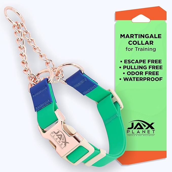 Jelly Waterproof Martingale Dog Collar, No Pull Nylon Collar with Alloy Metal Buckle & D-Ring for Outdoor Training and Walking, Anti Pull, Escape Free, One Time Adjustment - Turquoise & Blue, L
