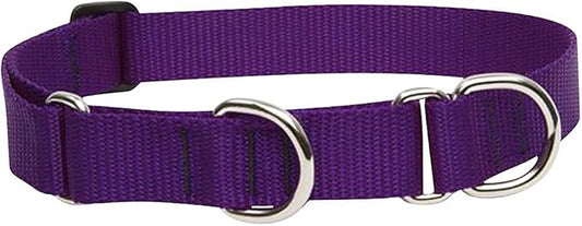 LupinePet Basics 1" Purple 15-22" Martingale Collar for Medium and Larger Dogs