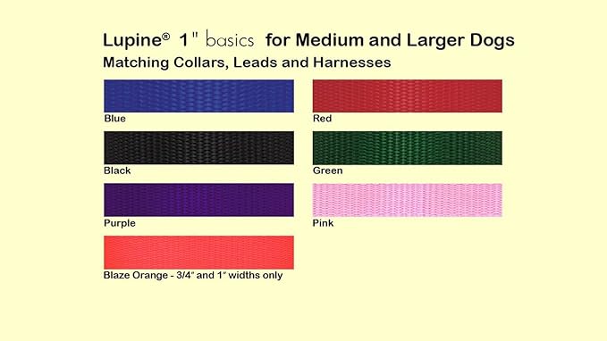 LupinePet Basics 1" Purple 19-27" Martingale Collar for Large Dogs